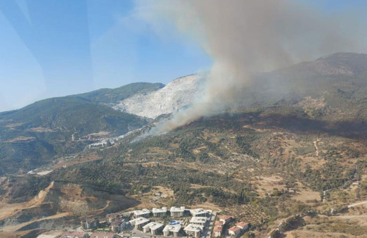 Aydın'da makilik yangını: Söndürme çalışmaları sürüyor