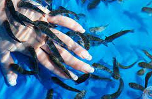 Sedef hastaları için aranan doktor bulundu: Balıklar