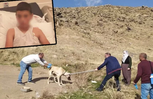 Kuduz olan çocuk ölecek dedi doktorun konuşması kriz çıkardı!