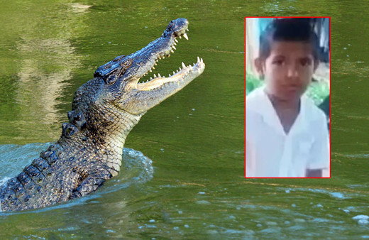 Dev timsah küçük çocuğu yedi! Anne ve babası çaresizce izledi: Her yerde cesedini arıyorlar!