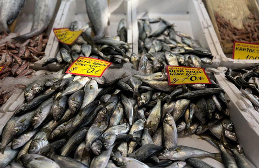 Tezgahlarda çinekop bollaştı, fiyatı yarı yarıya düştü