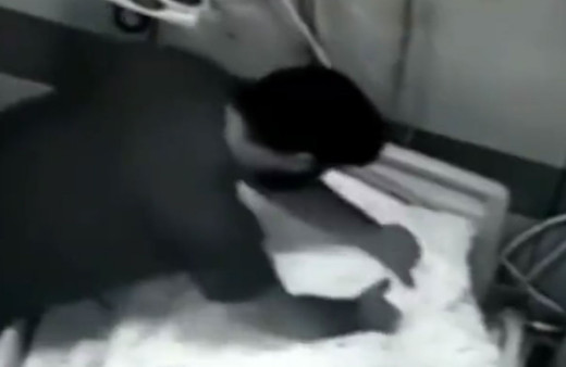 Tokat Medical Park Hastanesi'nde dehşetin görüntüsü! Felçli hastayı boğarak öldürmeye çalıştılar iddiası