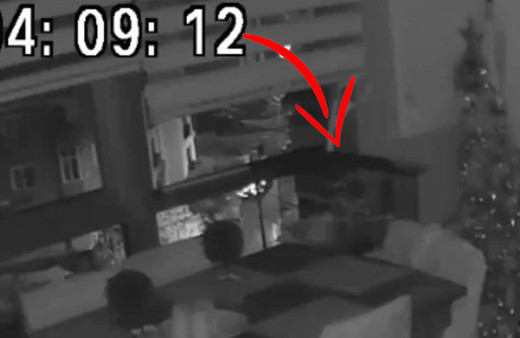 Düzce depremini hisseden İstanbul'daki papağan çılgına döndü!  Görüntüler olay oldu...