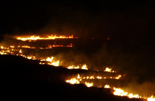 4 gündür yanıyor! Alevler ilçe merkezinden görülüyor
