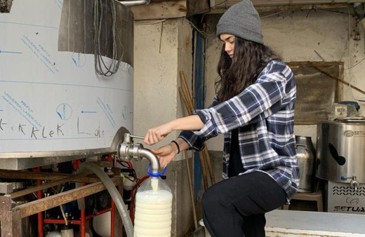 Herkes evlenmesini bekliyordu! 23 yaşında işinden istifa edip hayalleri için sütçü oldu