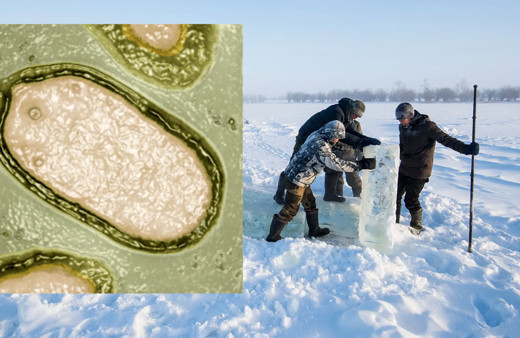 Sibirya'da zombi virüs bulundu 48 bin 500 yaşındaki virüs canlandı Covid'i aratacak salgın...