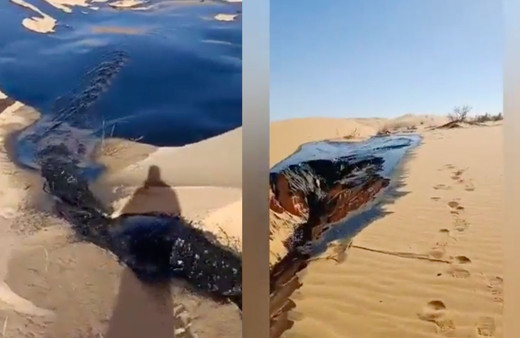 Petrol içilmiyor! Cezayir'de su ararken petrol bulan grup kahroldu