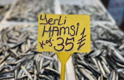 Karlar altında hamsi festivali: 2 ton hamsi tükettiler