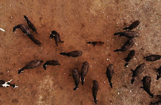 Cumhurbaşkanı Erdoğan satın aldı talep patladı! Sipariş yağıyor yok satıyor!