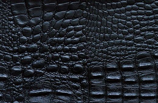 Hakkari'de 21 timsah derisi ele geçirildi