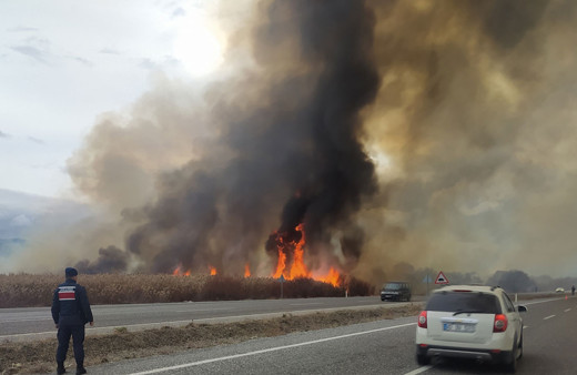 Beyşehir Gölü'nde yangın çıktı! Bir kaç noktada birden yanmaya başladı