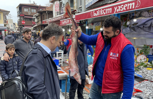 Edirneli köpek balığı görürse: Köpek balığı ne arar Tunca'da be ya