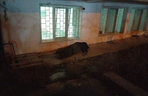 Çorum'da boşanma aşamasındaki karısının evinin önünde intihar etti