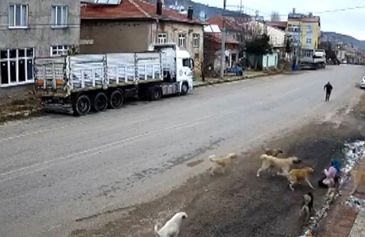 Sahipsiz köpeklerin saldırısıyla yaralanan kadının yaşadıkları güvenlik kamerasında