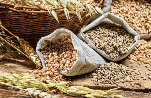 Dar gelirliye ücretsiz tahıl yardımı yapılacak!