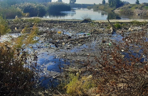 Menderes Nehri artık siyah! Yılda 4 kez temizleniyor ama yetmiyor