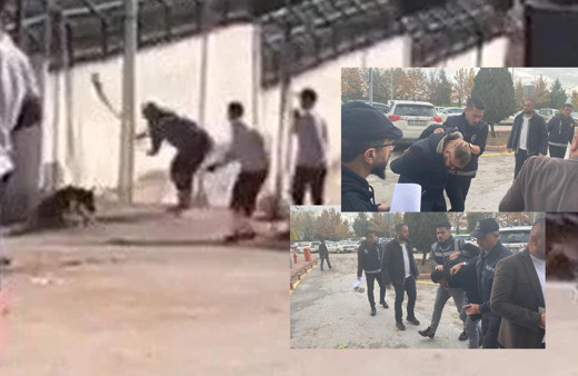 Konya'daki barınak vahşeti! Köpeği kafasına vura vura katlettiler mahkeme tahliye etti