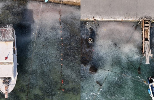 İstanbul Boğazı'nı istila ettiler! Son halini görenler dehşete düştü