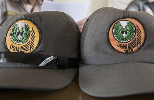 Orman Genel Müdürlüğü duyurdu! Bu kadrolara personel alımı yapacak