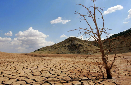 Kıyamet senaryosu gibi! Böylesi daha önce hiç olmadı durum çok vahim!