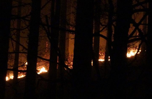 Kaz Dağları'nda orman yangını  80 hektar alan küle döndü
