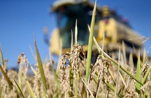 Hibe desteği 250 bin liraya yükseltildi