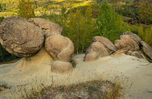 Bu taşlar hareket ediyor büyüyor doğurabiliyor tüm dünyanın ilgisini çekiyor gizem çözülüyor