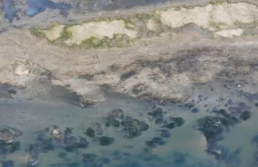 İstanbul'da korkutan görüntüler! İSKİ'den 21 maddelik 'su' çağrısı!.. Neleri yapın neleri yapmayın...