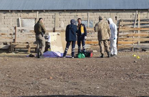 Ağrı'da karı-koca ve çoban kafalarından vurulmuş halde ölü bulundu! Nedeni yasak aşk çıktı