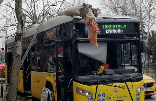 Fatih'te facianın eşiğinden dönüldü!  İETT otobüsü ağaca çarptı