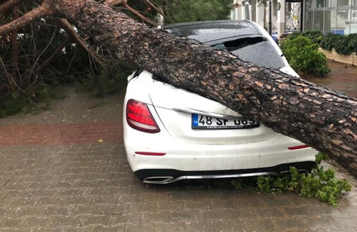Muğla'da şiddetli yağış ve fırtına! Devrilen ağaçlar maddi zarara neden oldu