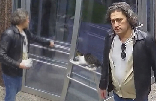 Serbest bırakılmıştı! Kedi düşmanına yakalama kararı