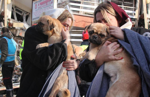 Enkazından sağ çıkan köpeği, depremzede kadın sahiplendi