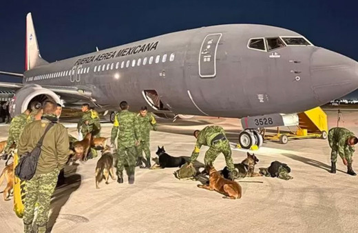 Meksika, ünlü arama kurtarma köpeklerini Türkiye'ye yolluyor