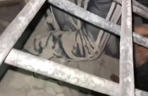 Enkazdan çıkarılan 13 yaşındaki Kerem'e Beşiktaş sözü