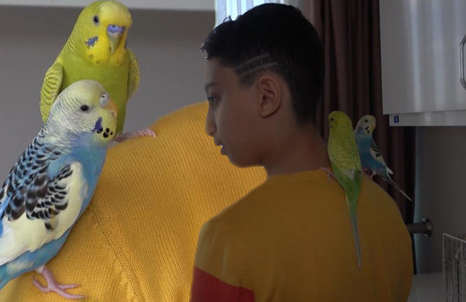 Enkaz altında kuşlarını ölüme terk etmedi! Küçük çocuğun sözleri herkesi duygulandırdı