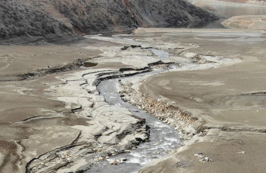 Zimbabve'de kuraklık nedeniyle ulusal afet ilan edildi