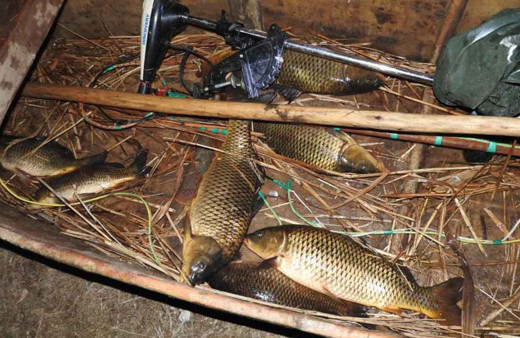 Yasak olmasına rağmen elektroşokla balık avladılar!