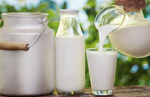 Çiğ süt desteği ödemelerine yönelik esaslar belli oldu