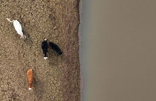 İstanbul'da durum çok fena! 9 yılın karşılaştırmasında en düşük seviye...