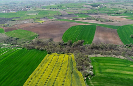 Depremlerin ardından Trakya'daki arsalara ilgi katlandı, uzmanlar yatırımcıları uyardı