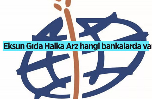 Eksun Gıda halka arz yorumları kaç lot veriyor Genel Müdürü Ahmet Demir kimdir?