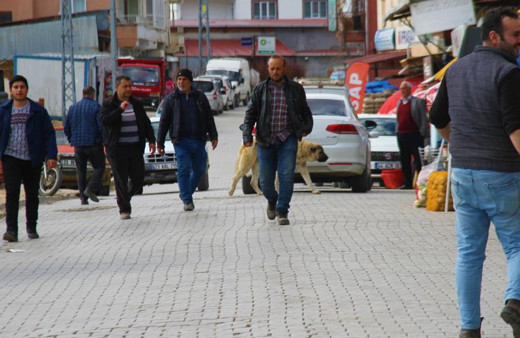 İlçenin nüfusu 5'e katlandı! Depremin ardından vatandaşlar akın etti: Taksim'i aratmıyor