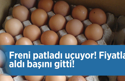 Yumurta fiyatları liste güncelleniyor 30'lu koli alan artık zengin sayılır
