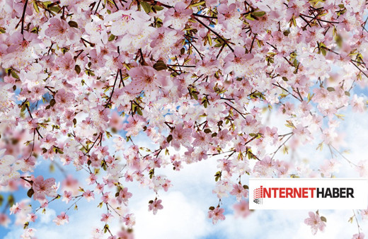 Nevruz Bayramı mesajları resimli kısa mesaj 2023 nevruz kutlama sözleri