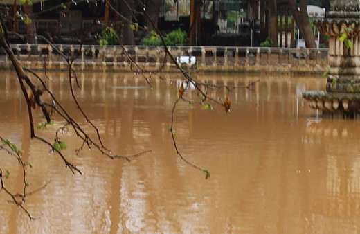 Selin ardından çamurla kaplandı balıklar yok oldu! İşte Balıklıgöl'ün son hali