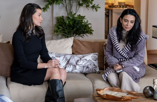 Kızılcık Şerbeti kitabı kimin eseri yazarı kimdir? Kızılcık Şerbeti kitabı özeti