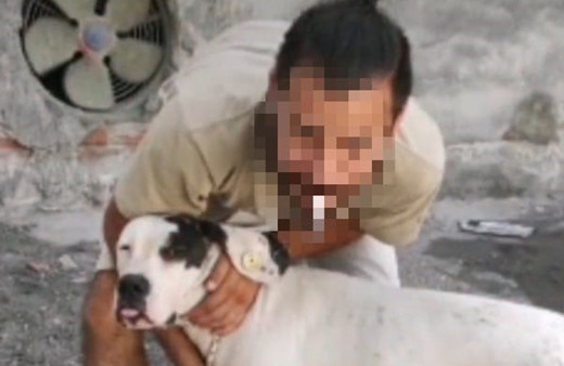 O köpeğin sahibine 2 yıl sonra büyük şok! 'Hapis' talebiyle dava açıldı