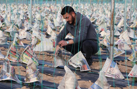 Genç çiftçiden zirai dona karşı ilginç önlem: Gazete ve sis bombası kullandı