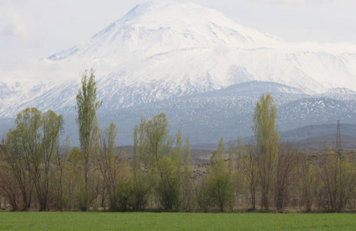 Iğdır'da kış ve ilkbahar bir arada yaşanıyor